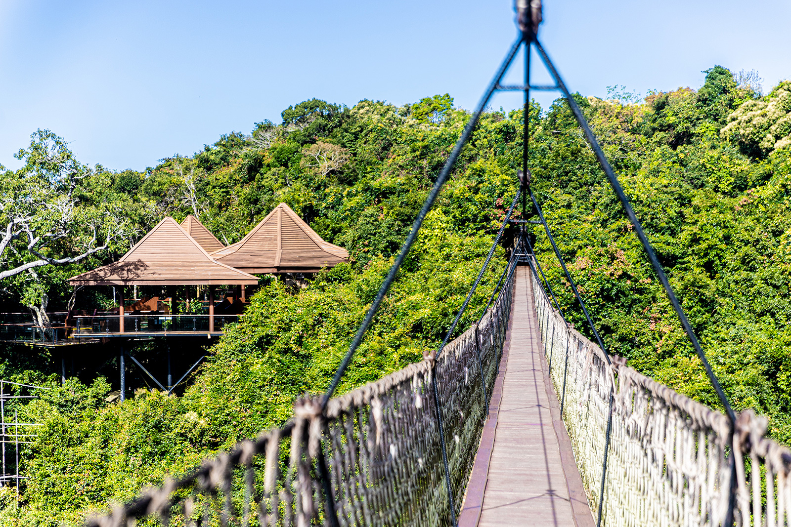Yalong Bay Tropical Paradise Forest Park
