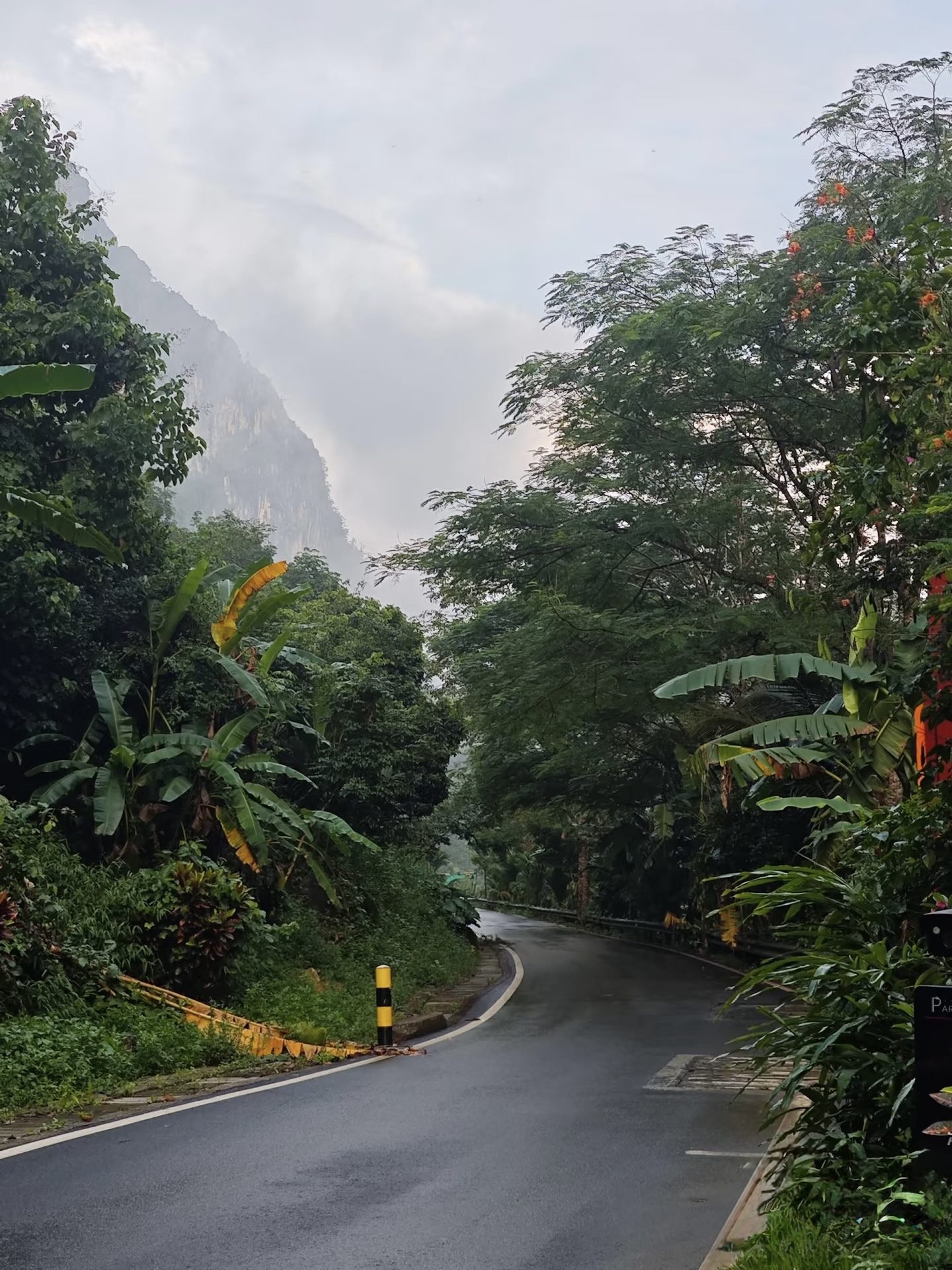 Tropical mountain road