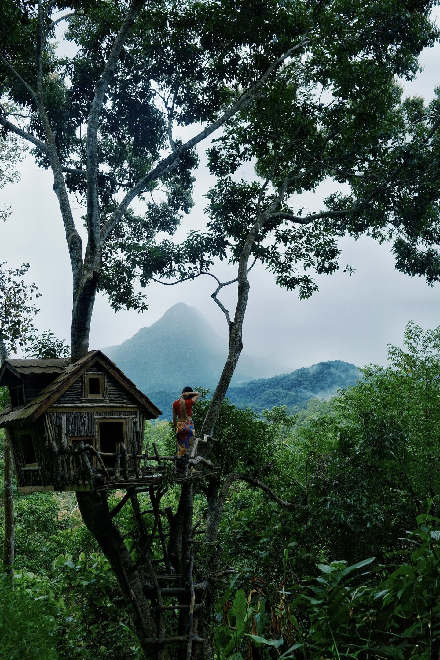 Misty mountain treehouse