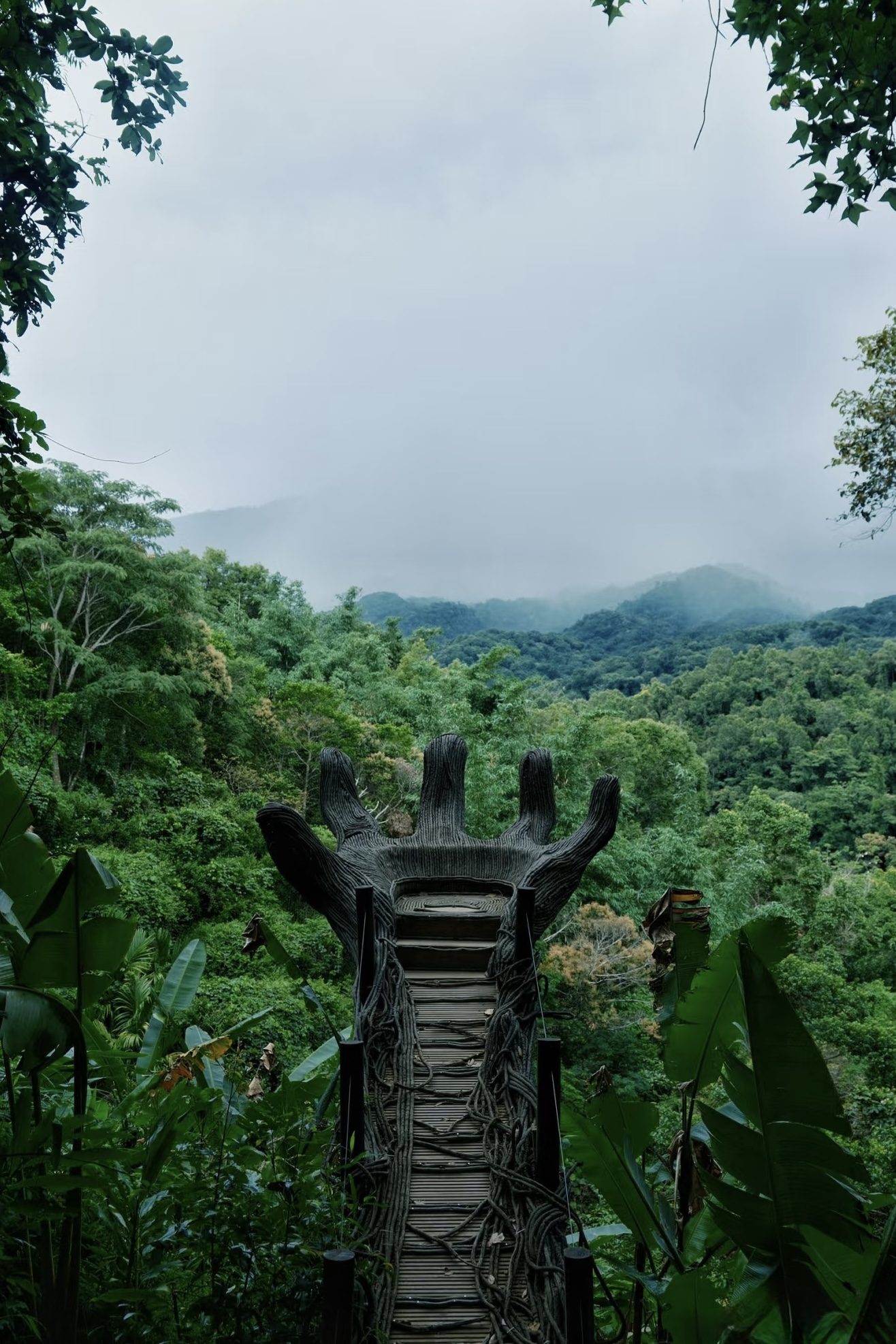 Rainforest viewpoint